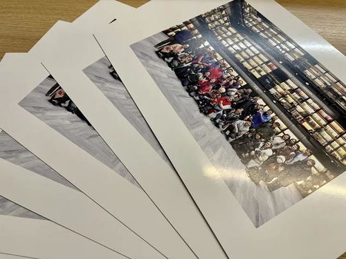 湖山亭閣 頤和新色 頤和園 主題攝影展在雅昌藝術(shù)中心開展